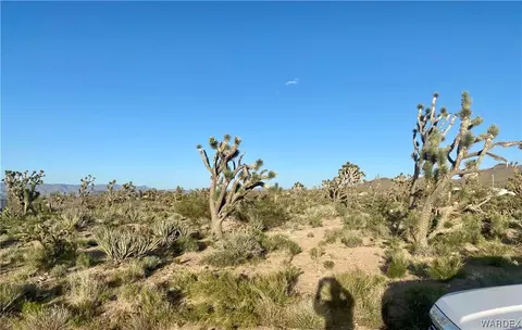 000 Paloma20th, Dolan Springs, AZ 86441