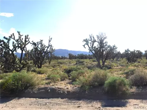 26492 N Apple Dr, Meadview, AZ 86444