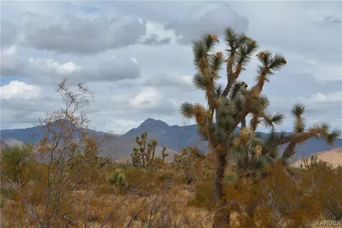 Parcel 2652 Diamondback Road, Yucca, AZ 86438