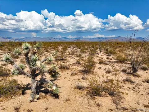 000 Rainbow Rd, Yucca, AZ 86438