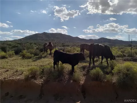 7510 N Frerichs Ranch Rd, Hackberry, AZ 86411 photo 34