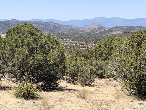 3110 N Mapuana Trl, Kingman, AZ 86401 photo 3