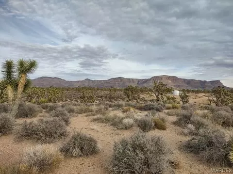 27012 N Pear Ave, Meadview, AZ 86444