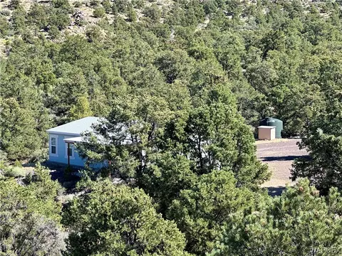 7677 N Christmas Tree Dr, Hackberry, AZ 86411 photo 48