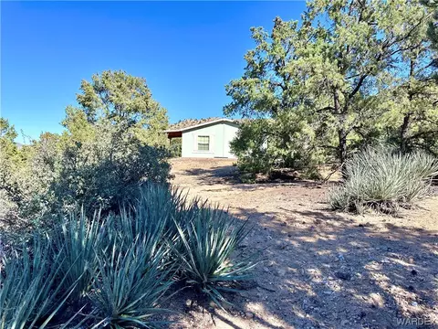 7677 N Christmas Tree Dr, Hackberry, AZ 86411 photo 13