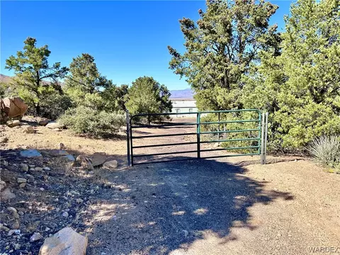 7677 N Christmas Tree Dr, Hackberry, AZ 86411 photo 53