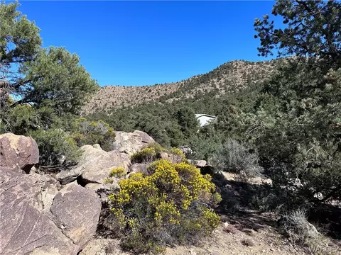 7677 N Christmas Tree Dr, Hackberry, AZ 86411 photo 46