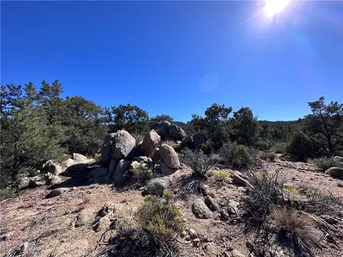7677 N Christmas Tree Dr, Hackberry, AZ 86411 photo 49