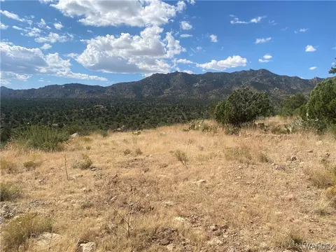 000 Mountain Springs Ln, Hackberry, AZ 86411 photo 40