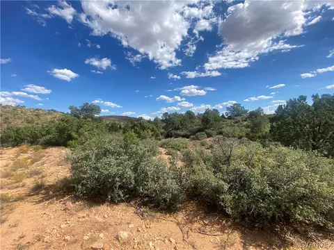 000 Mountain Springs Ln, Hackberry, AZ 86411 photo 14