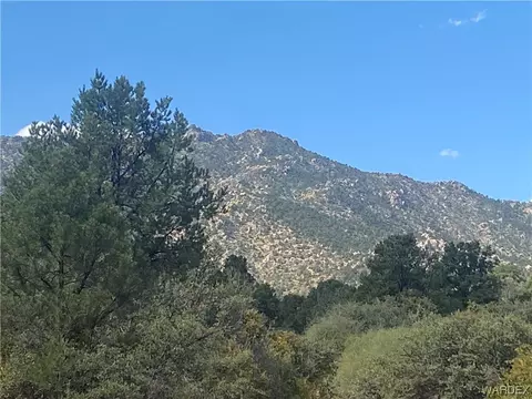 000 Mountain Springs Ln, Hackberry, AZ 86411 photo 5