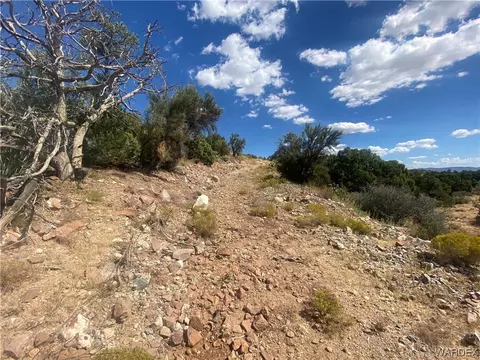 000 Mountain Springs Ln, Hackberry, AZ 86411 photo 20