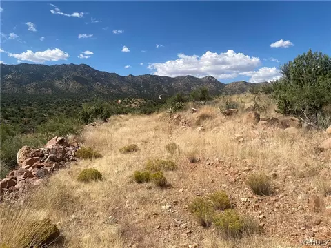 000 Mountain Springs Ln, Hackberry, AZ 86411 photo 36