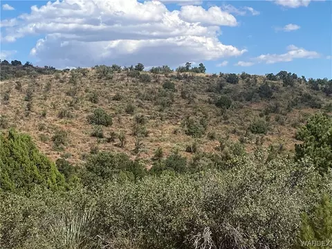 000 Mountain Springs Ln, Hackberry, AZ 86411 photo 12