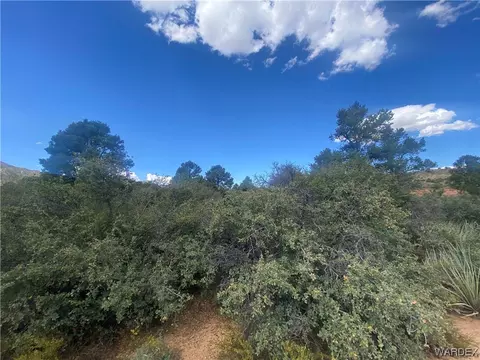 000 Mountain Springs Ln, Hackberry, AZ 86411 photo 10
