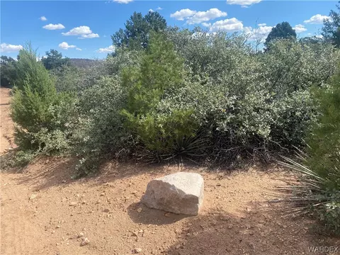 000 Mountain Springs Ln, Hackberry, AZ 86411 photo 11