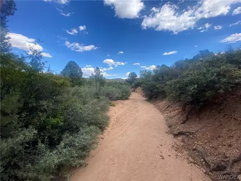 000 Mountain Springs Ln, Hackberry, AZ 86411 photo 7