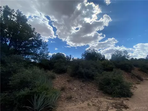 000 Mountain Springs Ln, Hackberry, AZ 86411 photo 9