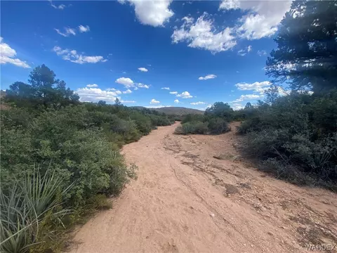 000 Mountain Springs Ln, Hackberry, AZ 86411 photo 8