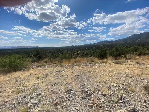 000 Mountain Springs Ln, Hackberry, AZ 86411 photo 31
