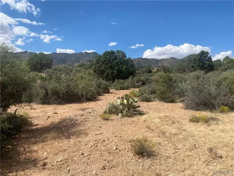 000 Mountain Springs Ln, Hackberry, AZ 86411 photo 19