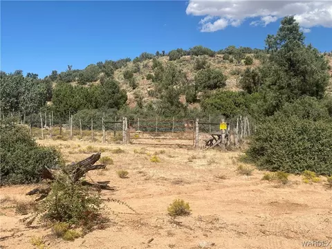 000 Mountain Springs Ln, Hackberry, AZ 86411 photo 16