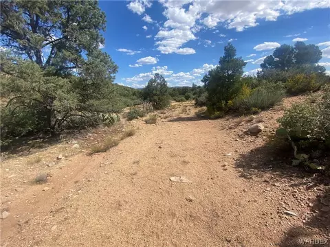 000 Mountain Springs Ln, Hackberry, AZ 86411 photo 39