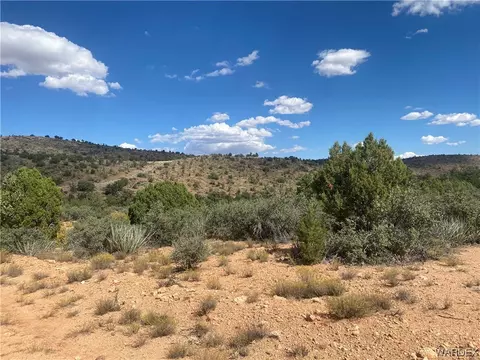 000 Mountain Springs Ln, Hackberry, AZ 86411 photo 13