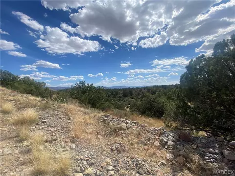 000 Mountain Springs Ln, Hackberry, AZ 86411 photo 21