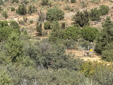 000 Mountain Springs Ln, Hackberry, AZ 86411 photo 15