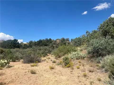 000 Mountain Springs Ln, Hackberry, AZ 86411 photo 18