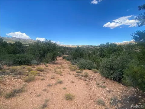000 Mountain Springs Ln, Hackberry, AZ 86411 photo 4