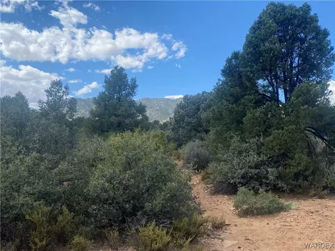 000 Mountain Springs Ln, Hackberry, AZ 86411