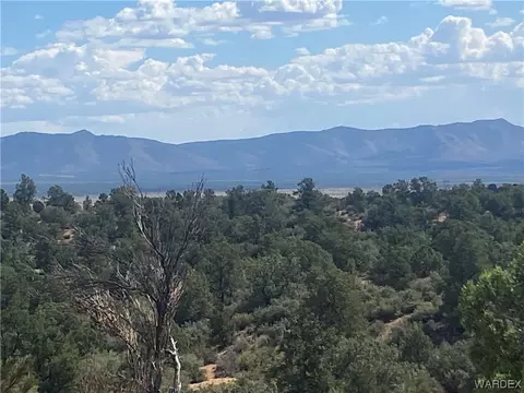 000 Mountain Springs Ln, Hackberry, AZ 86411 photo 2