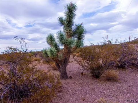 9077 W Olancha Dr, White Hills, AZ 86445