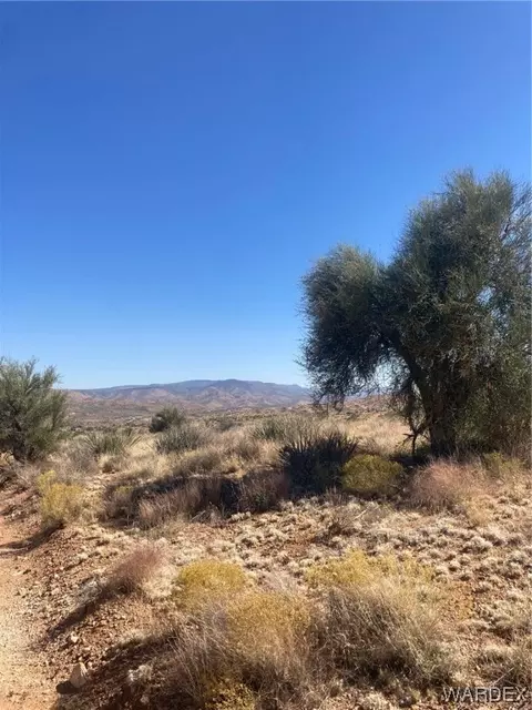 000 E Springer Dr, Hackberry, AZ 86411