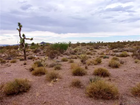 9061 W Olancha Dr, White Hills, AZ 86445