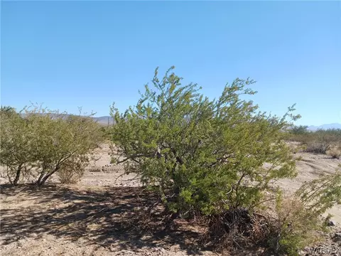 000 N Deal Rd, White Hills, AZ 86445
