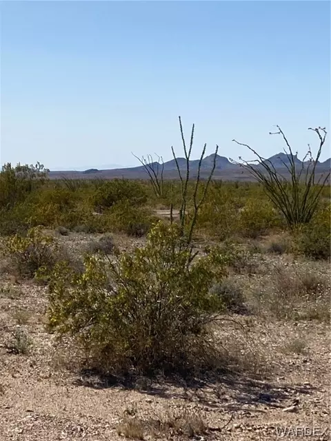 16202 S Kickapoo Dr, Yucca, AZ 86438 photo 9