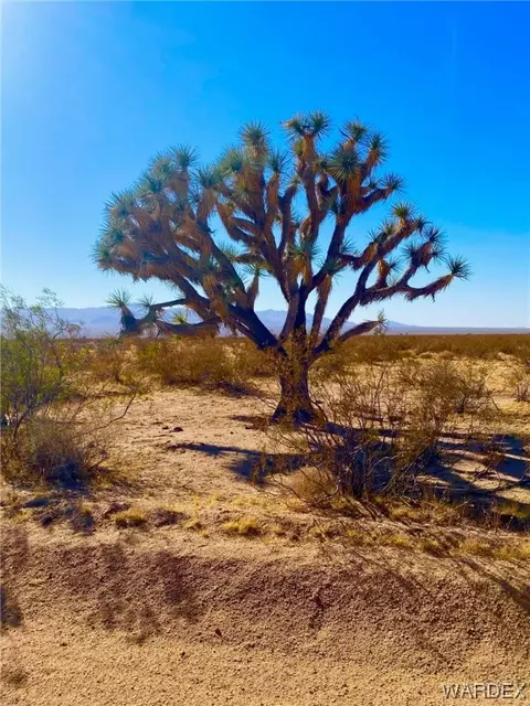 2027 S Roy Rogers Rd, Yucca, AZ 86438