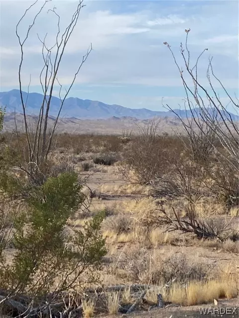 3214 W Crystal Springs Rd, Yucca, AZ 86438