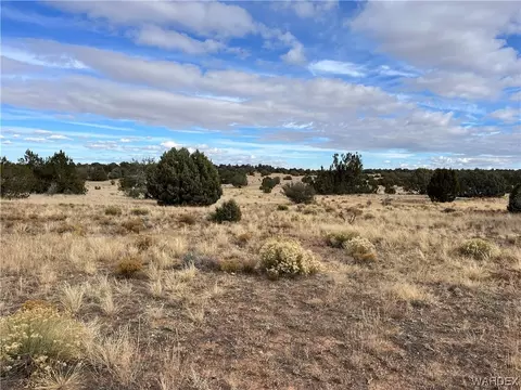 357 Antelope Valley Rnch, Seligman, AZ 86337