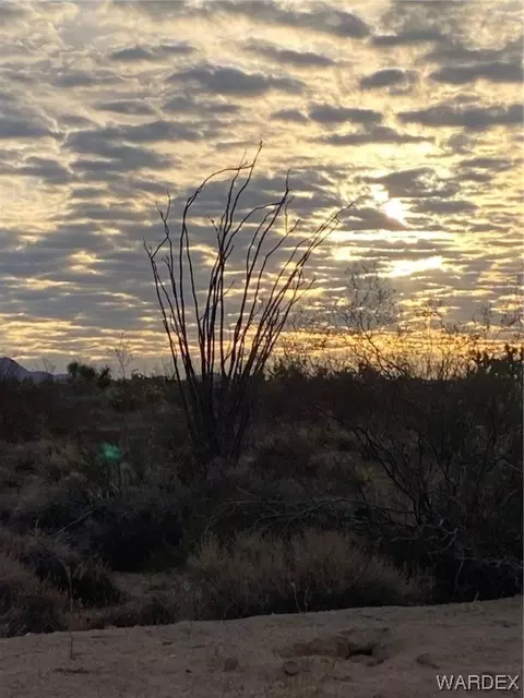 946 S Butch Cassidy Rd, Yucca, AZ 86438