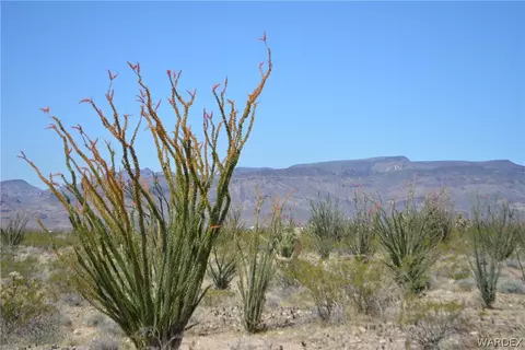A7 S Carmen Road, Yucca, AZ 86438