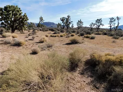 27166 N Apple Dr, Meadview, AZ 86444
