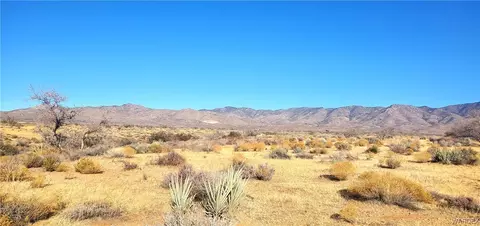 Lot 25 N Colorado Road, Chloride, AZ 86431