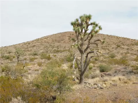 000 15thkaibab, Dolan Springs, AZ 86441