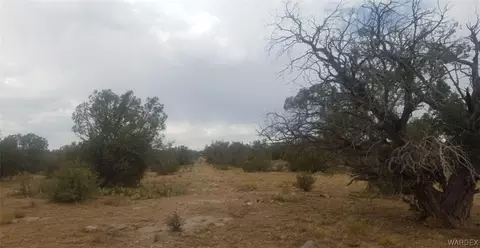 0 Peach Spgs, Peach Springs, AZ 86434