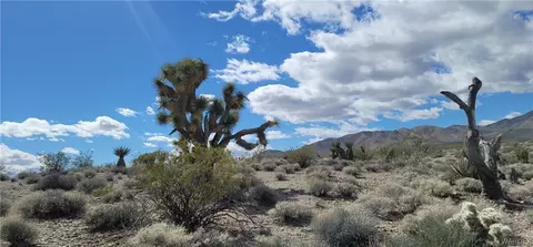 06 W Floral, Meadview, AZ 86444
