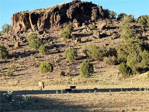 0 Willow Ranch Rd, Kingman, AZ 86401 photo 3